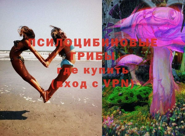 мдпв Абдулино