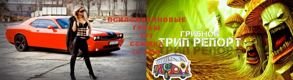 марихуана Абинск